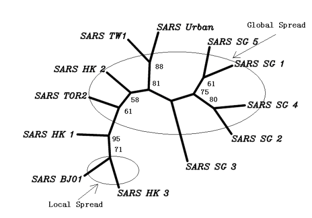 1ia45y0aufp4493.png