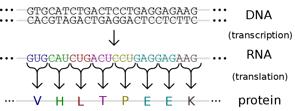 gpw4sxyxxft4395.png