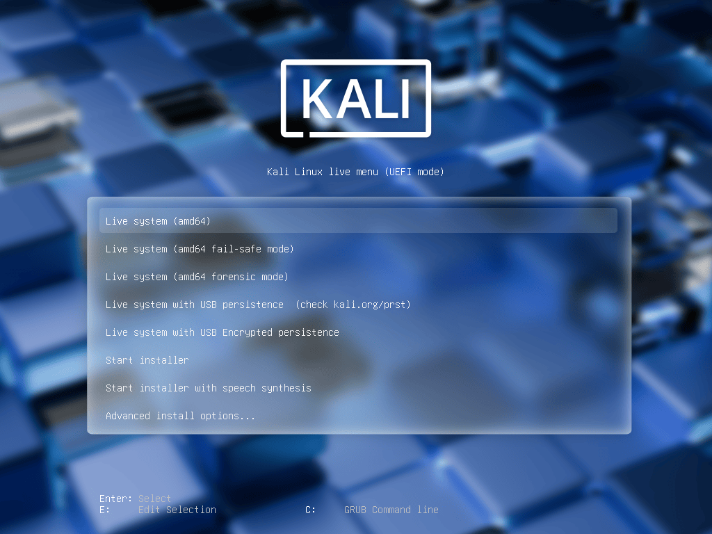 Kali 2025 Boot Menu