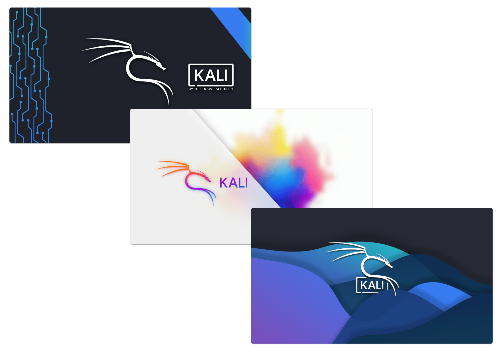 Kali 2025’s New Community Wallpapers
